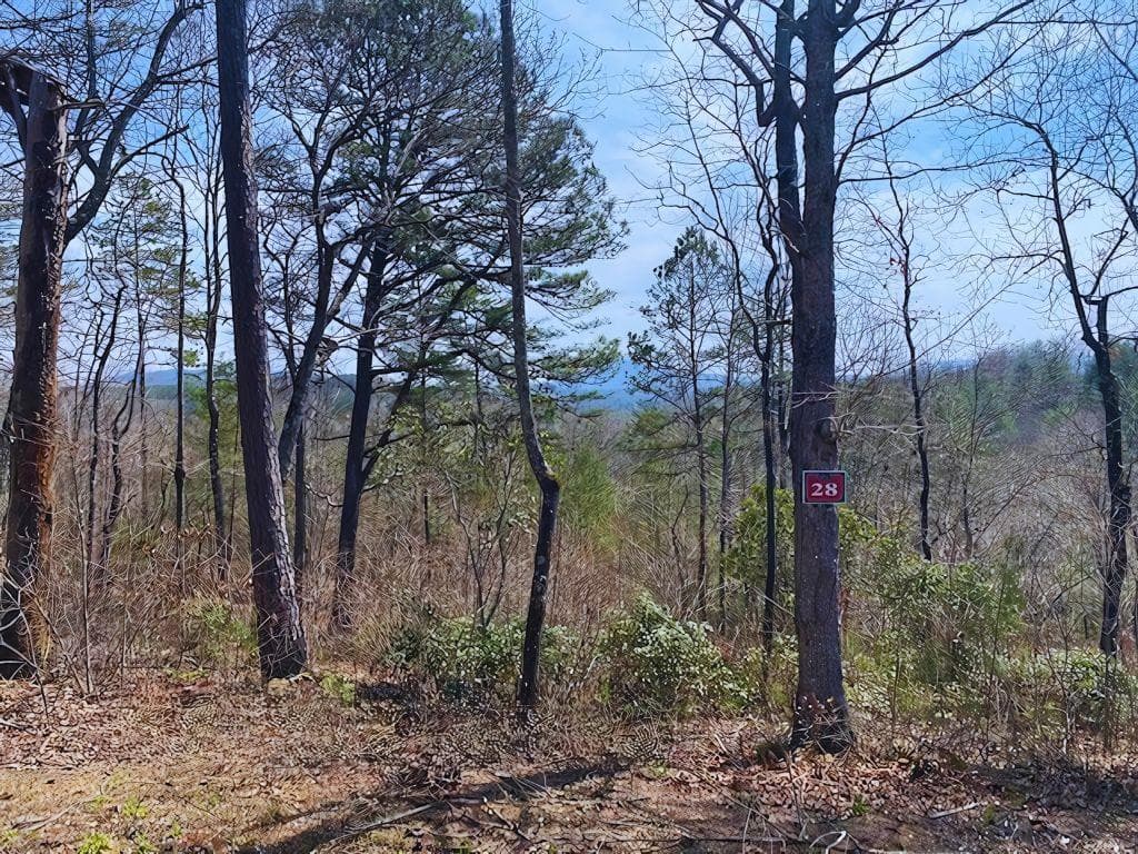Lot 28 Brasstown Trails, Warne NC 28909 - Primary photo
