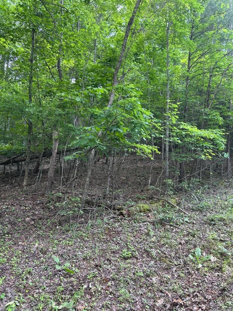 1 White Eagle Road, Hiawassee GA 30546 - Primary photo