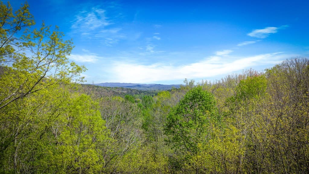 245 Davenport Mountain Road, Blue Ridge GA 30513 - Photo