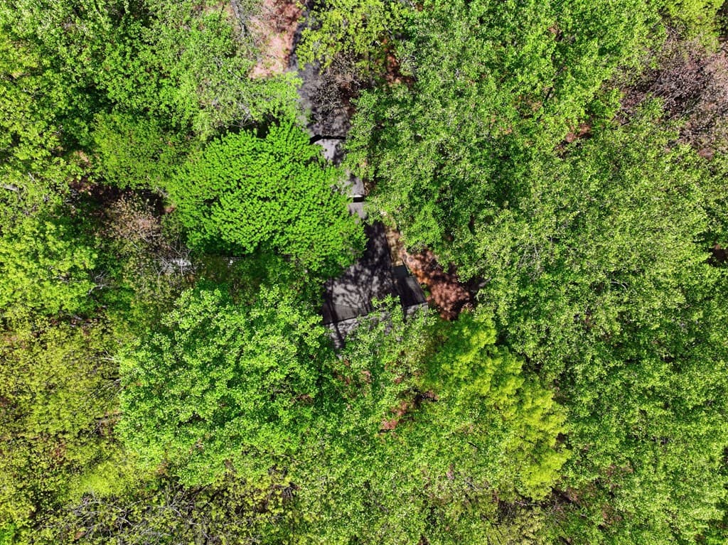 225 Windflower Drive, Big Canoe GA 30143 - Photo