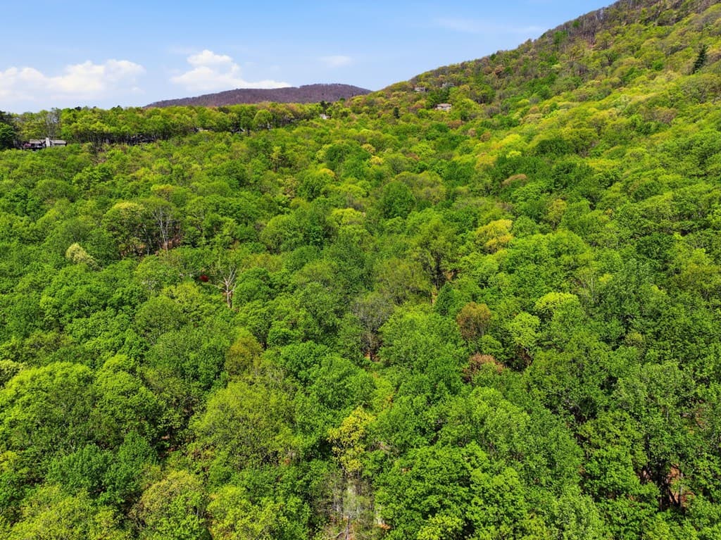 225 Windflower Drive, Big Canoe GA 30143 - Photo