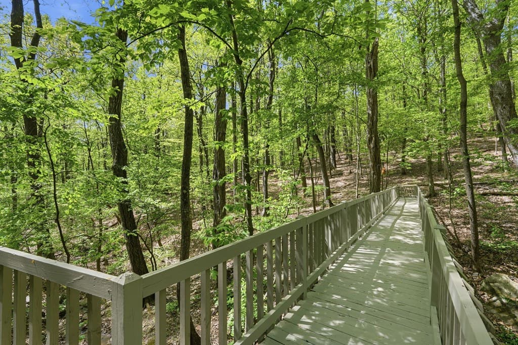 225 Windflower Drive, Big Canoe GA 30143 - Photo