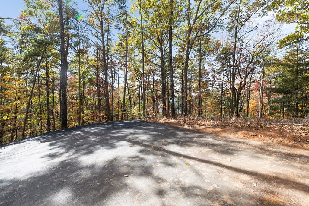 38 Jackies Bluff, Mineral Bluff GA 30559 - Photo