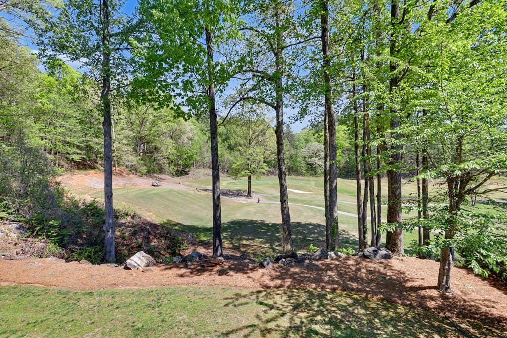 146 Glen Eagle Court, Clayton GA 30252 - Photo