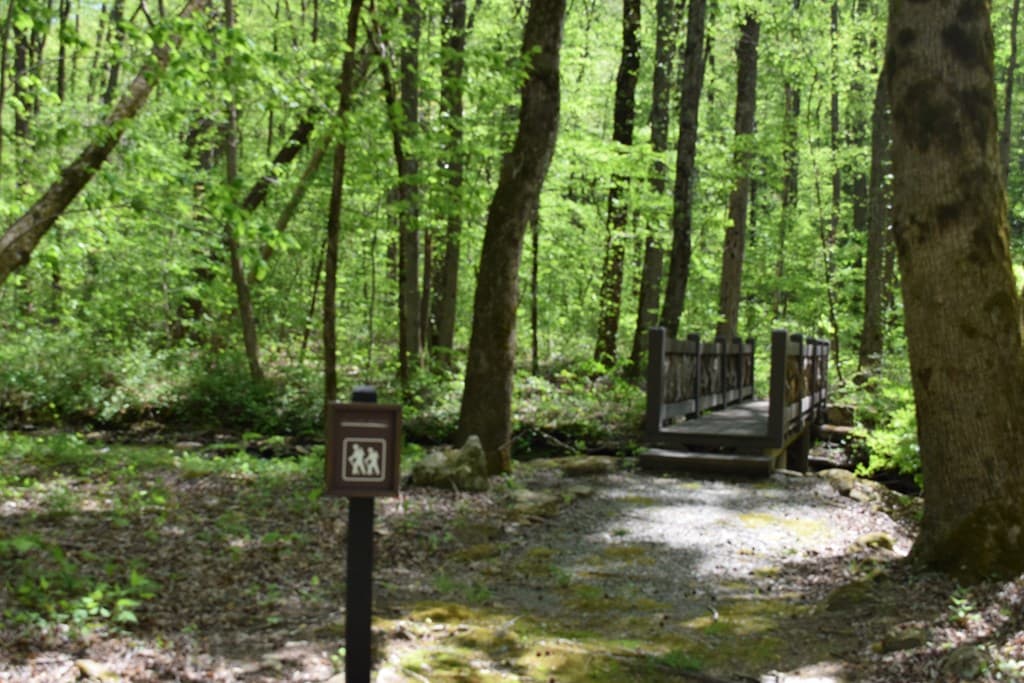 Lot 189 Hawks Nest Court, Ellijay GA 30536 - Photo
