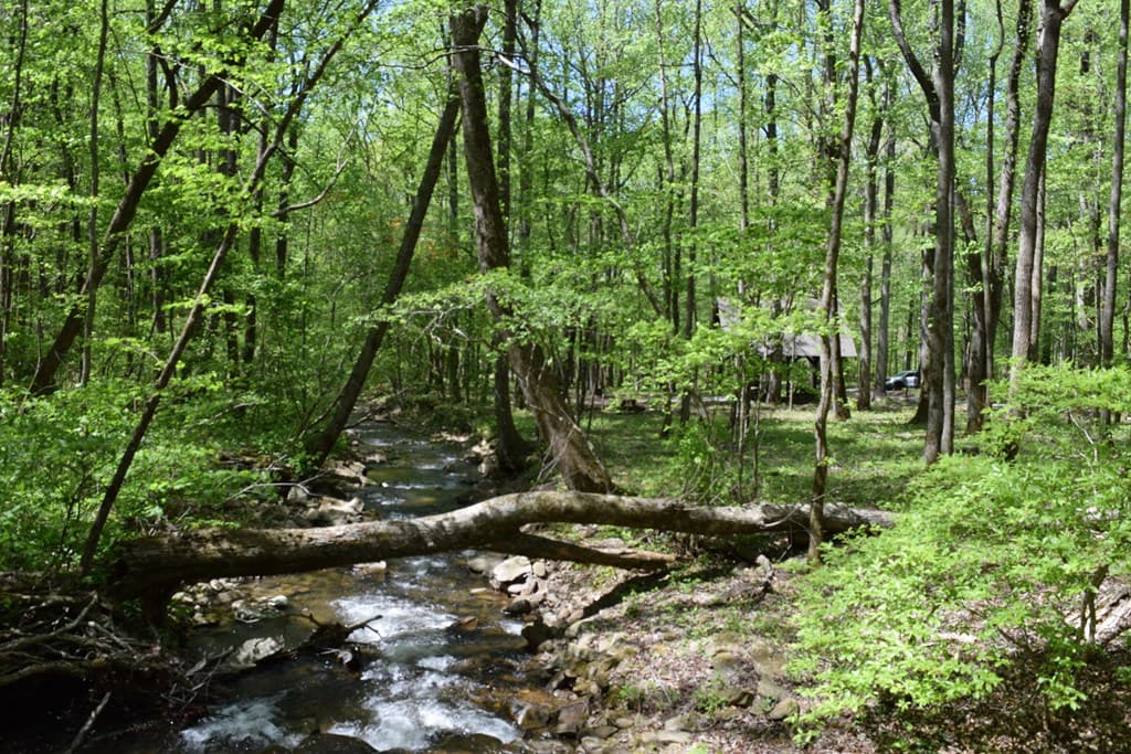 Lot 189 Hawks Nest Court, Ellijay GA 30536 - Photo