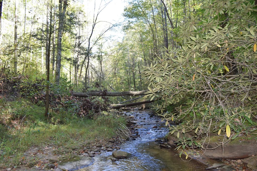 Lot 189 Hawks Nest Court, Ellijay GA 30536 - Photo