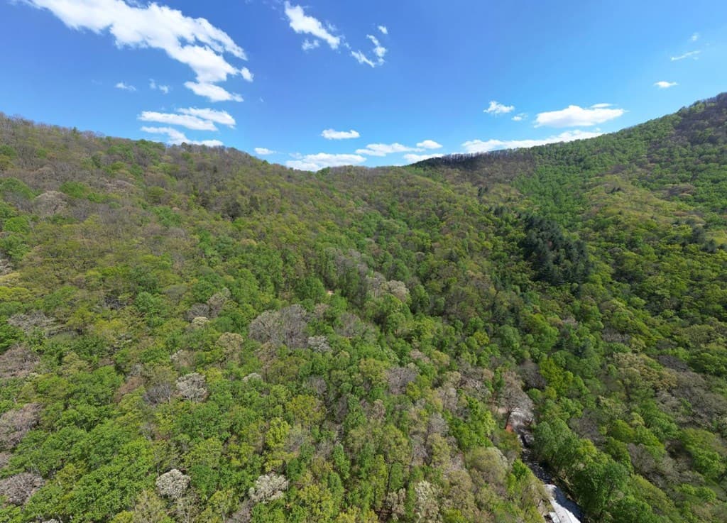 370 Taylor Way, Hiawassee GA 30546 - Photo