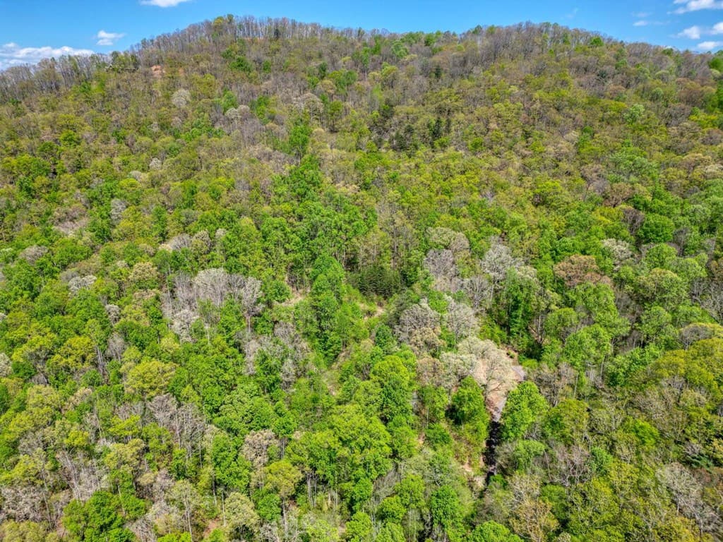 370 Taylor Way, Hiawassee GA 30546 - Photo