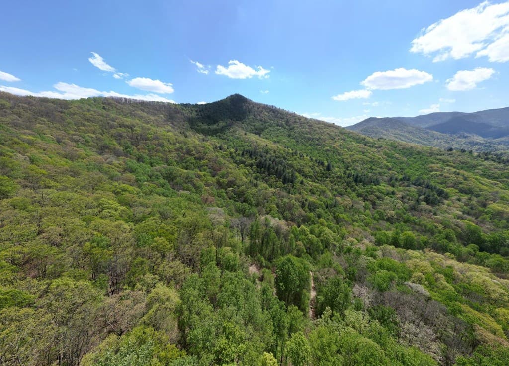 370 Taylor Way, Hiawassee GA 30546 - Photo