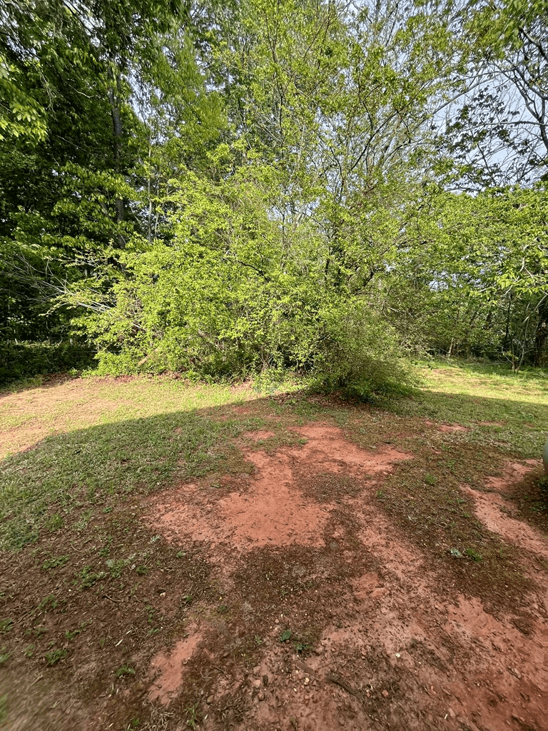960 Asbury Mill Road, Cleveland GA 30528 - Photo