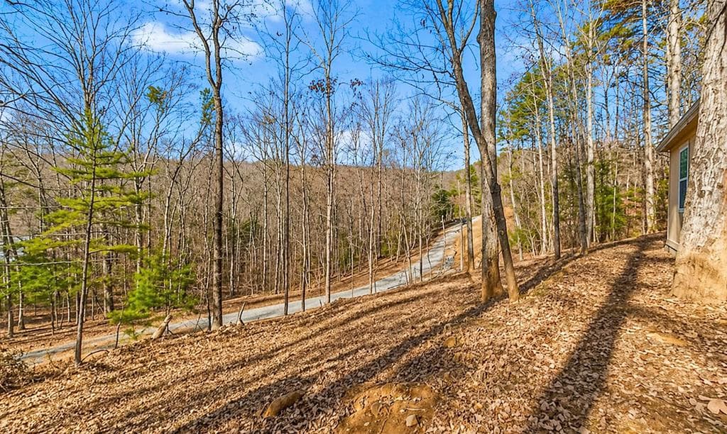 282 Armor Way N, Ellijay GA 30540 - Photo