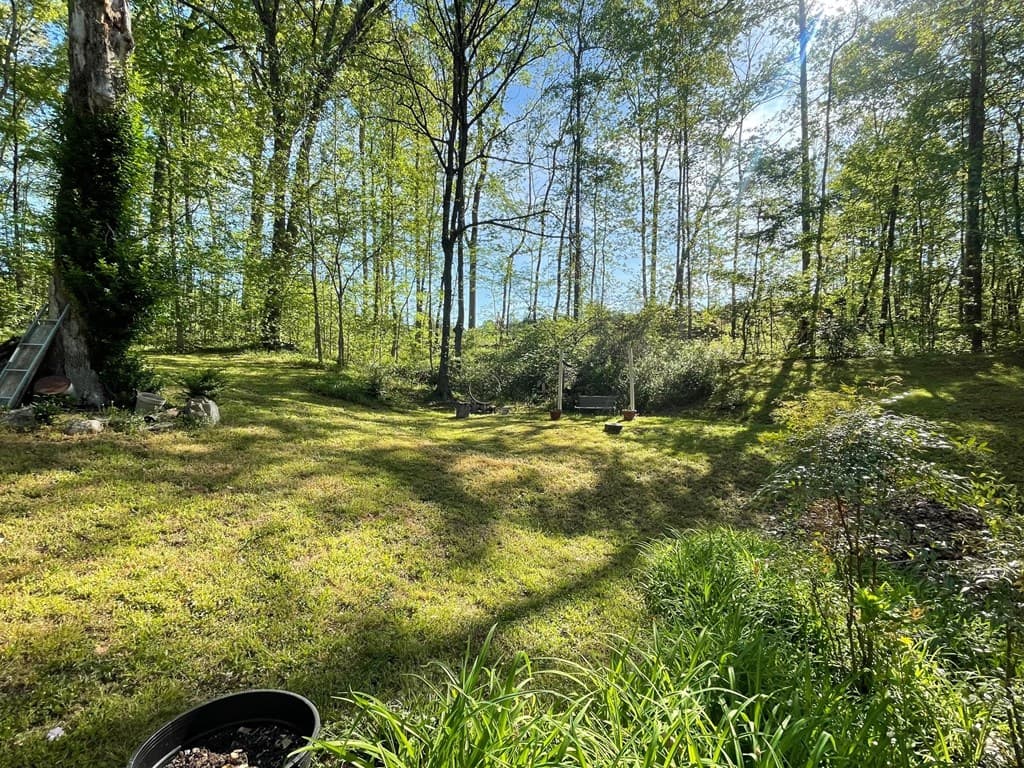5017 Ball Ground Hwy, Ball Ground GA 30107 - Photo