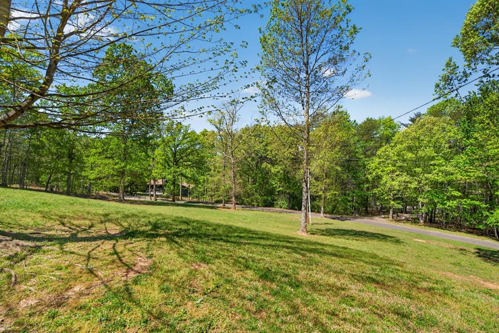 385 Shields Road, Mineral Bluff GA 30559 - Photo