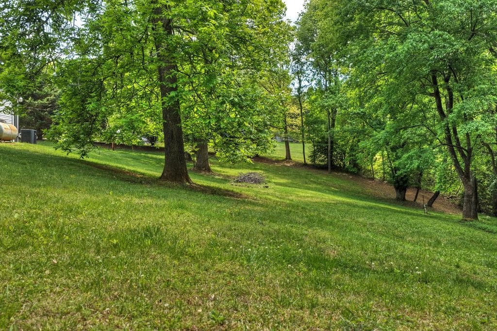 380 Lavista Drive, Blue Ridge GA 30513 - Photo