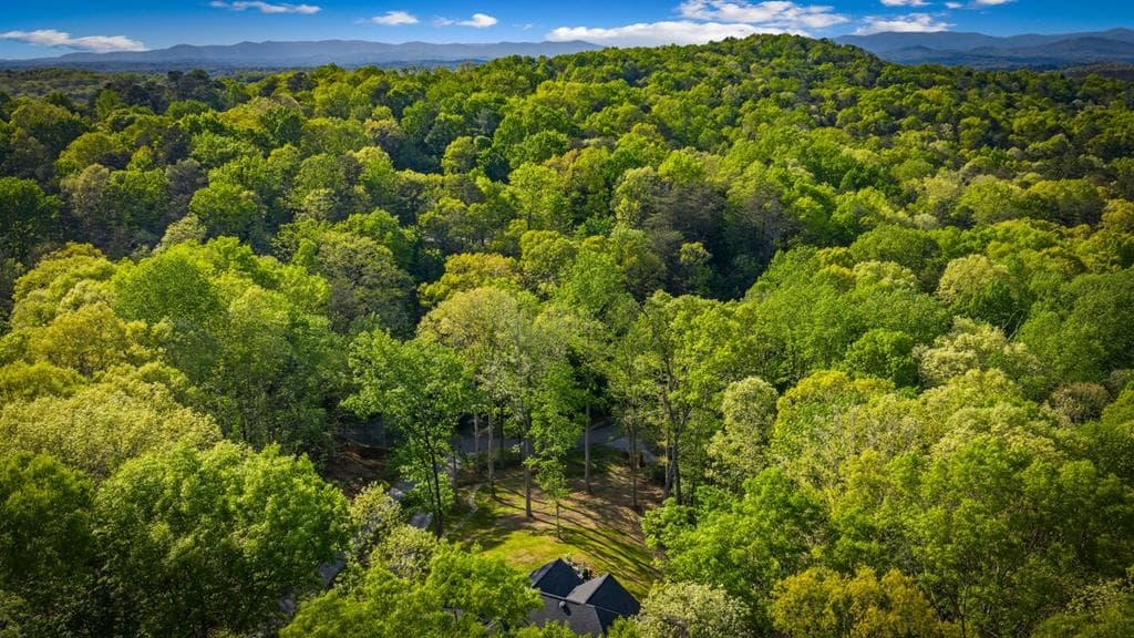 164 Stegall Drive, Ellijay GA 30536 - Photo