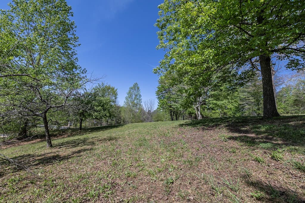 71 Ruby Lane, Mineral Bluff GA 30559 - Photo