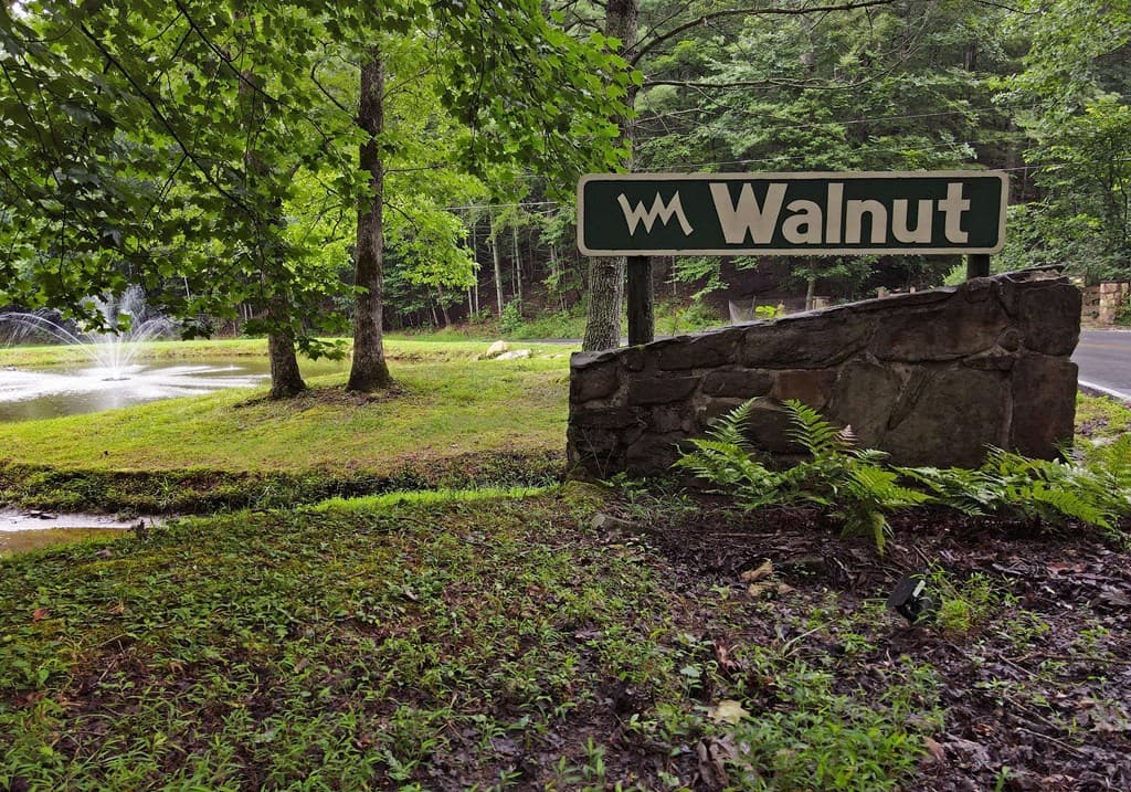 66 Pine Ridge Court, Ellijay GA 30536 - Photo