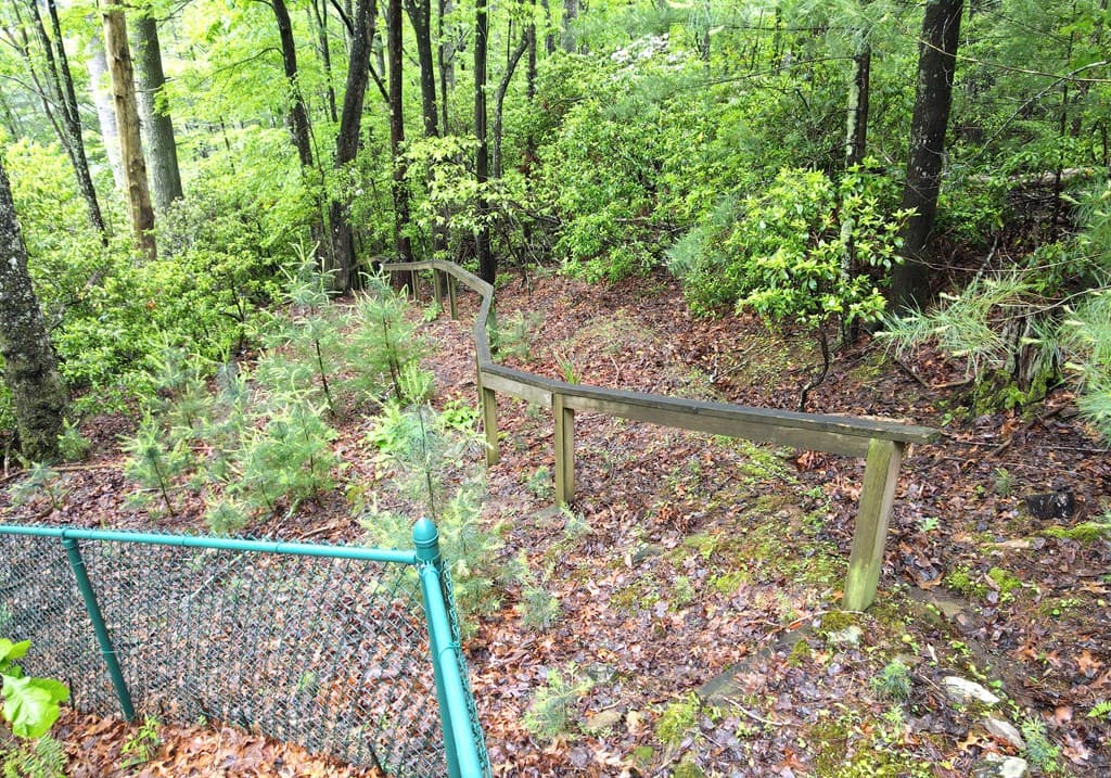 66 Pine Ridge Court, Ellijay GA 30536 - Photo