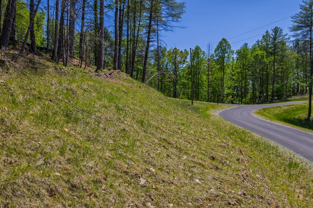 Lot 343 Shallow Branch Drive, Talking Rock GA 30175 - Photo