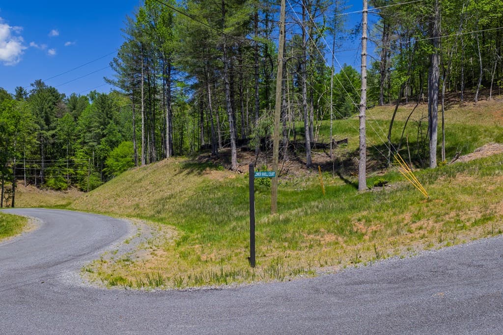 Lot 343 Shallow Branch Drive, Talking Rock GA 30175 - Photo
