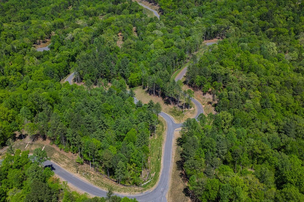 Lot 343 Shallow Branch Drive, Talking Rock GA 30175 - Photo