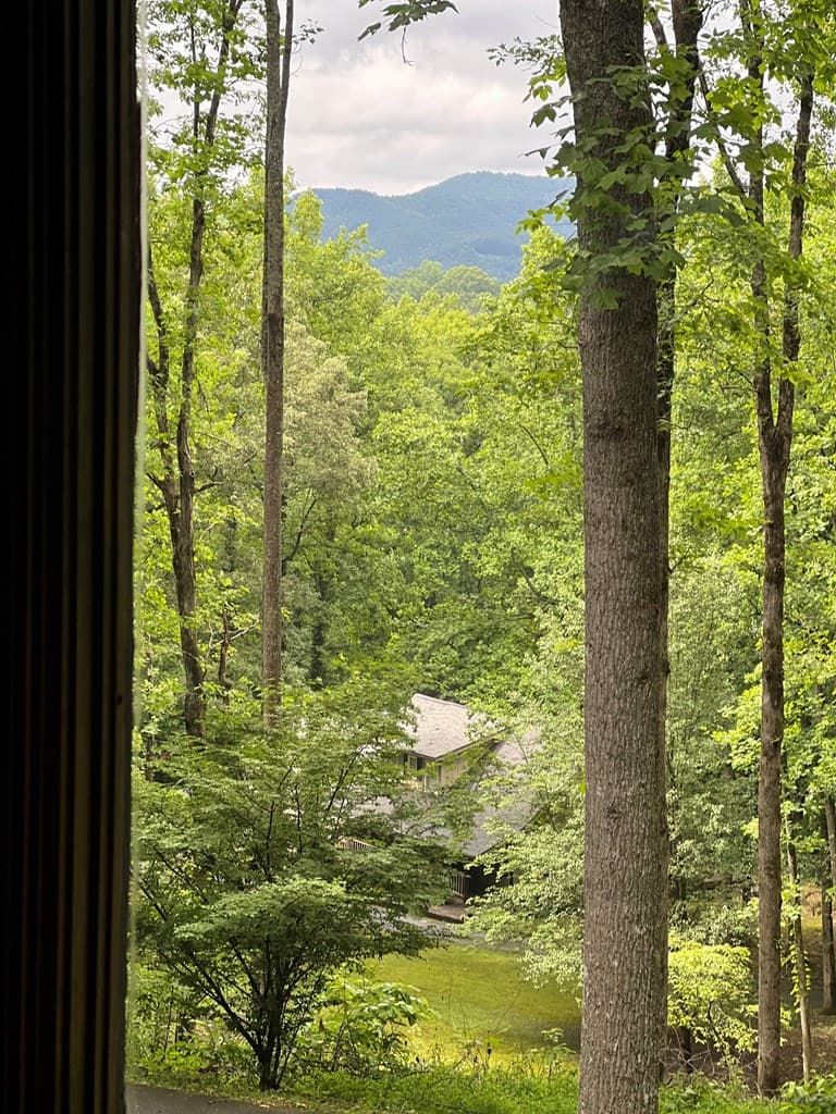 192 Brookwood Drive, Blairsville GA 30512 - Photo