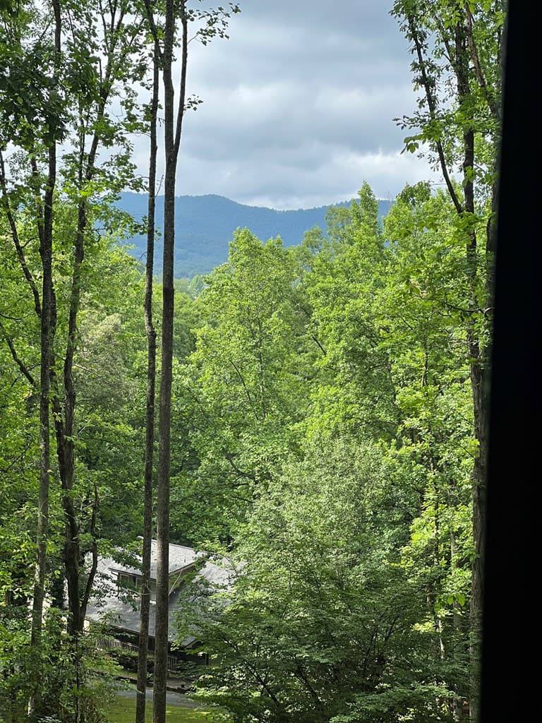 192 Brookwood Drive, Blairsville GA 30512 - Photo