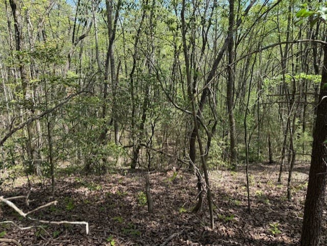 Lot 5 Marjorie Avenue, Ellijay GA 30536 - Photo