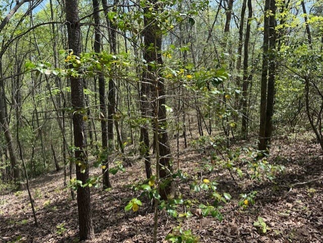 Lot 5 Marjorie Avenue, Ellijay GA 30536 - Photo