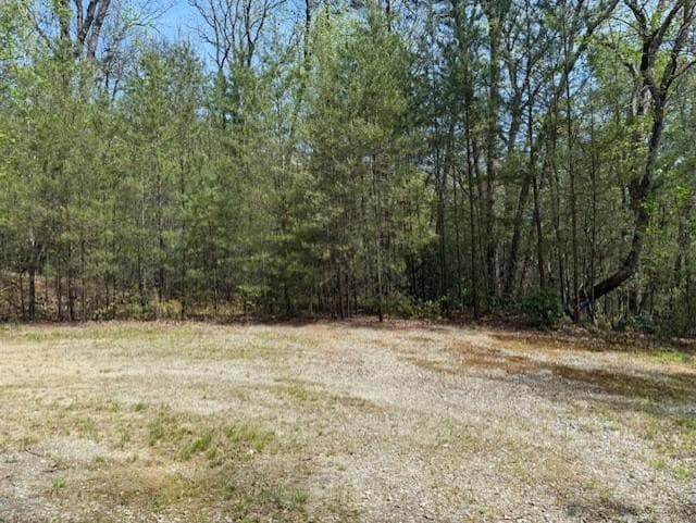 Lot 5 Marjorie Avenue, Ellijay GA 30536 - Primary photo