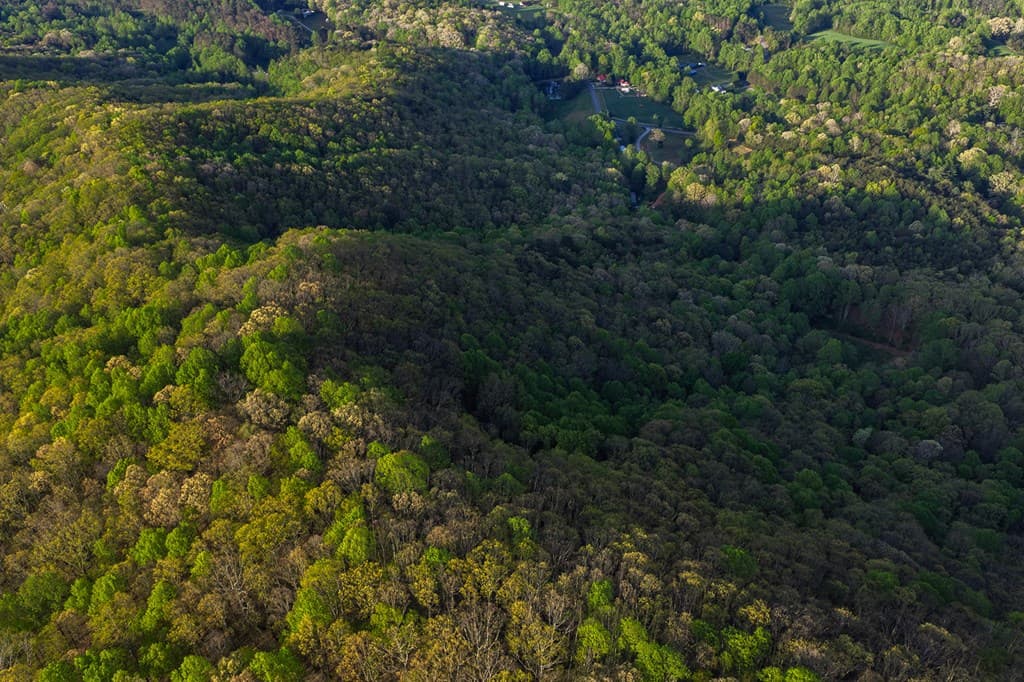 0 Hagin Lane, Ellijay GA 30536 - Photo