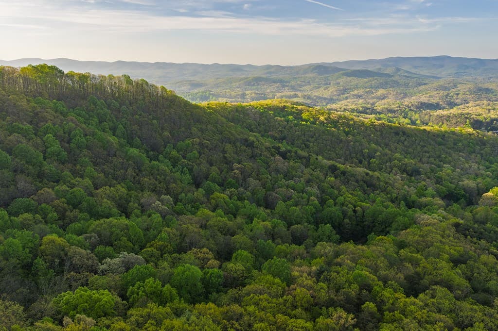 0 Hagin Lane, Ellijay GA 30536 - Photo
