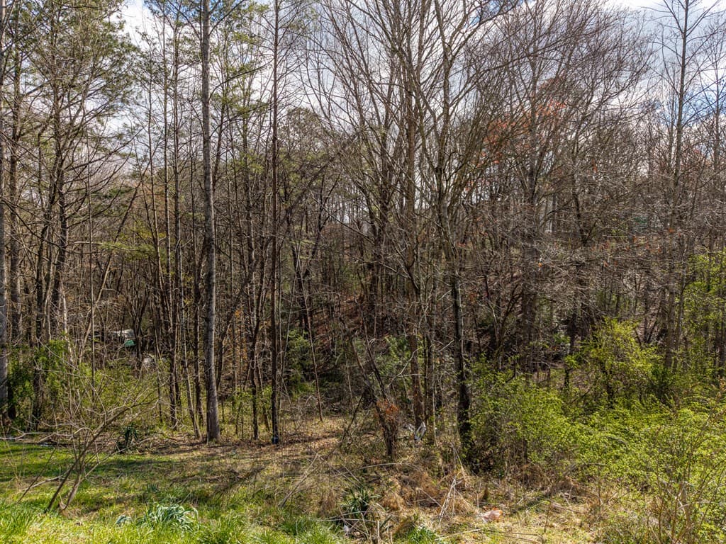 10085 Lakewood Hwy, Mineral Bluff GA 30559 - Photo