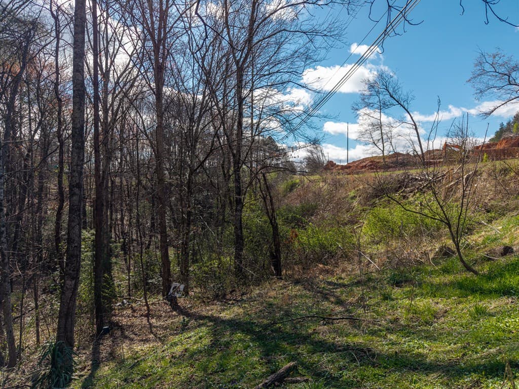 10085 Lakewood Hwy, Mineral Bluff GA 30559 - Photo
