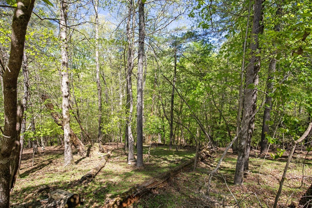 Lot 560 Chattle Way, Ellijay GA 30540 - Photo