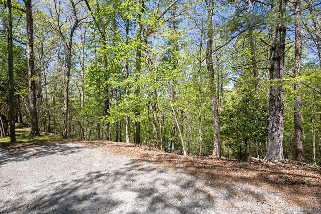 Lot 560 Chattle Way, Ellijay GA 30540 - Photo