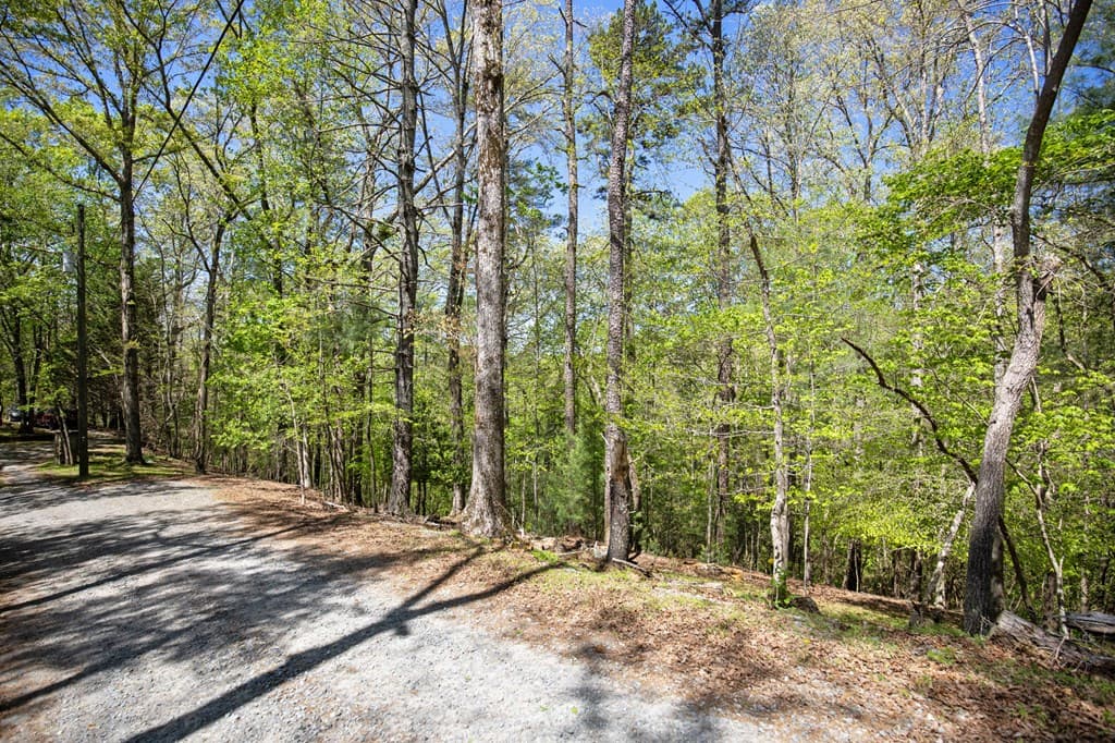 Lot 560 Chattle Way, Ellijay GA 30540 - Photo