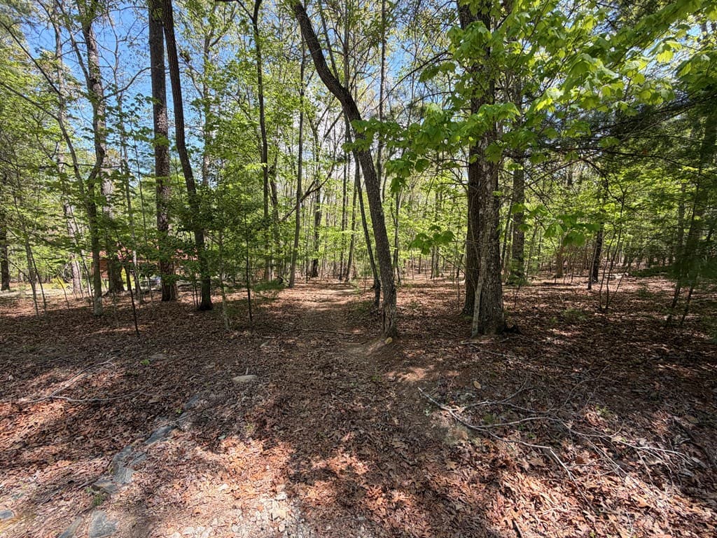 # 2 Amber Way, Morganton GA 30560 - Photo