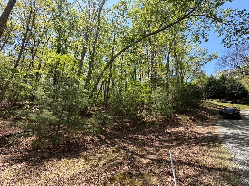 #16 Christian Crossing, Morganton GA 30560 - Photo