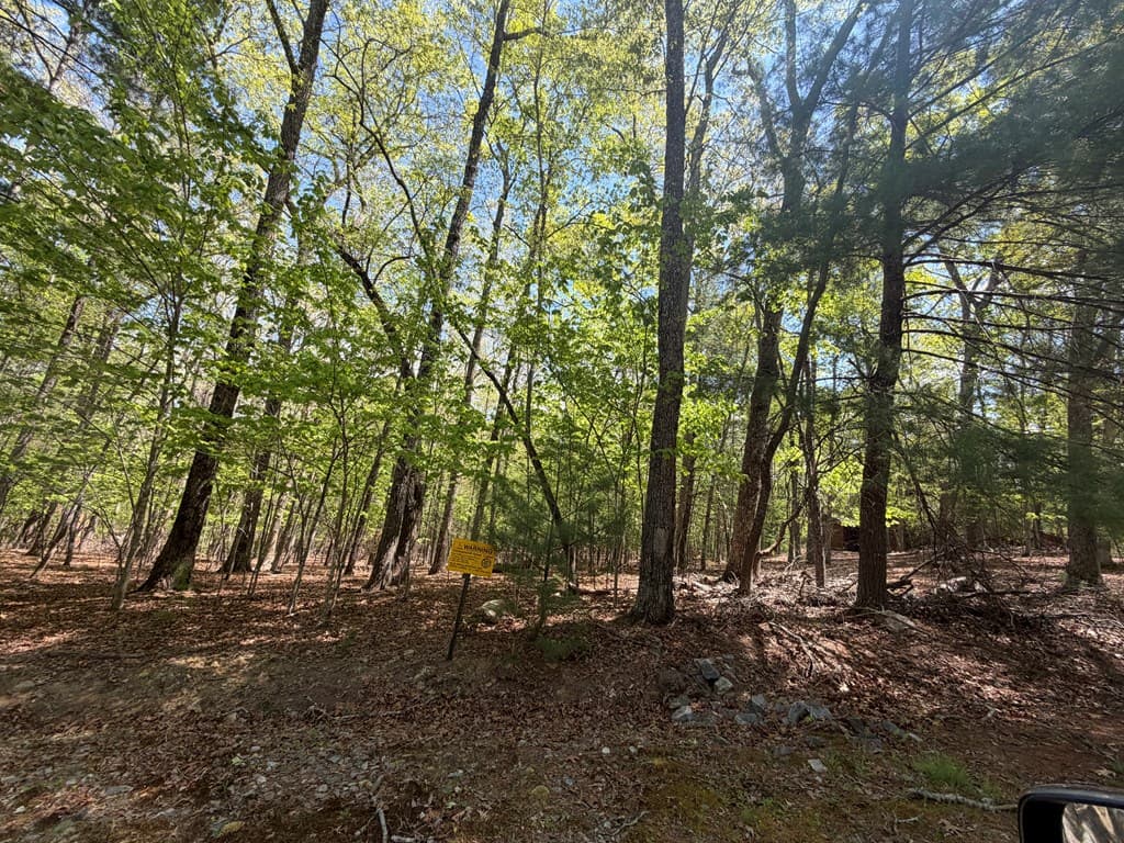 #16 Christian Crossing, Morganton GA 30560 - Photo