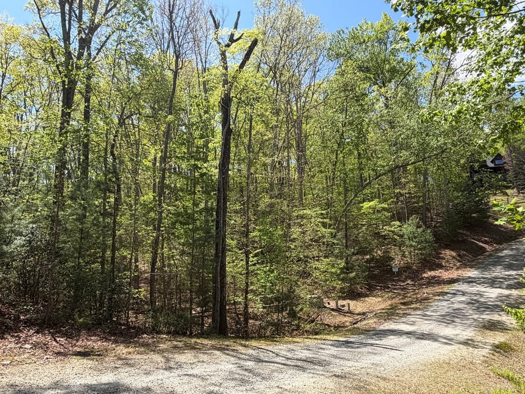 #16 Christian Crossing, Morganton GA 30560 - Photo