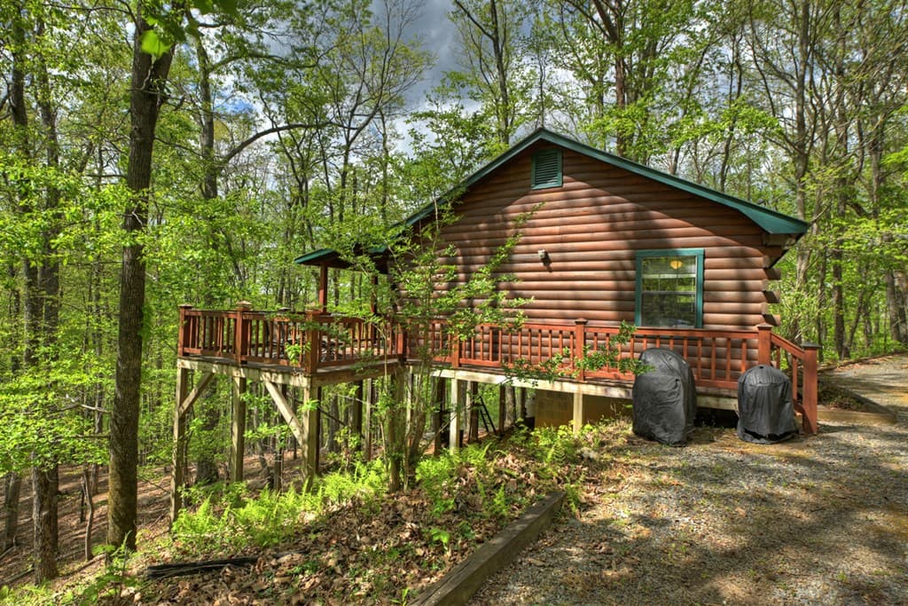 660 Ripshin Mountain Road, Blue Ridge GA 30513 - Photo