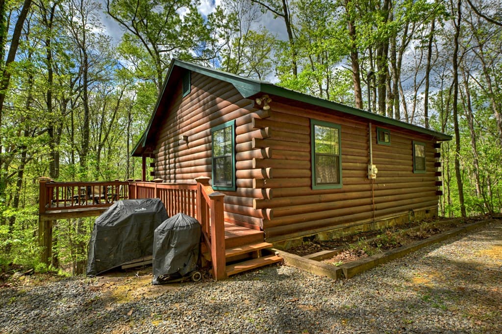 660 Ripshin Mountain Road, Blue Ridge GA 30513 - Photo