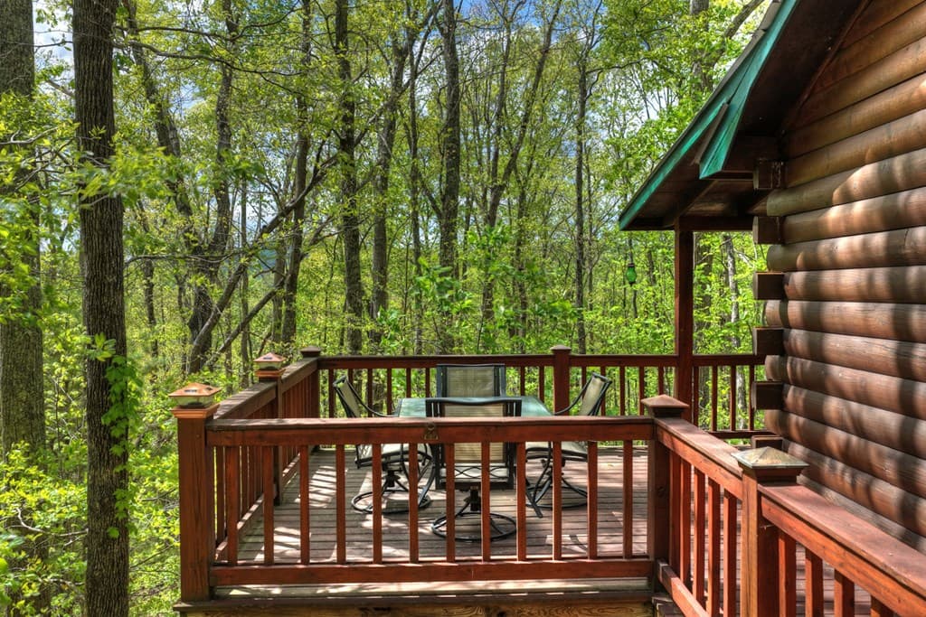 660 Ripshin Mountain Road, Blue Ridge GA 30513 - Photo
