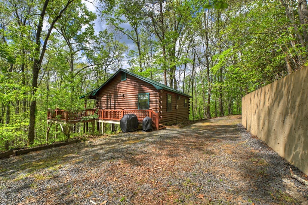660 Ripshin Mountain Road, Blue Ridge GA 30513 - Photo