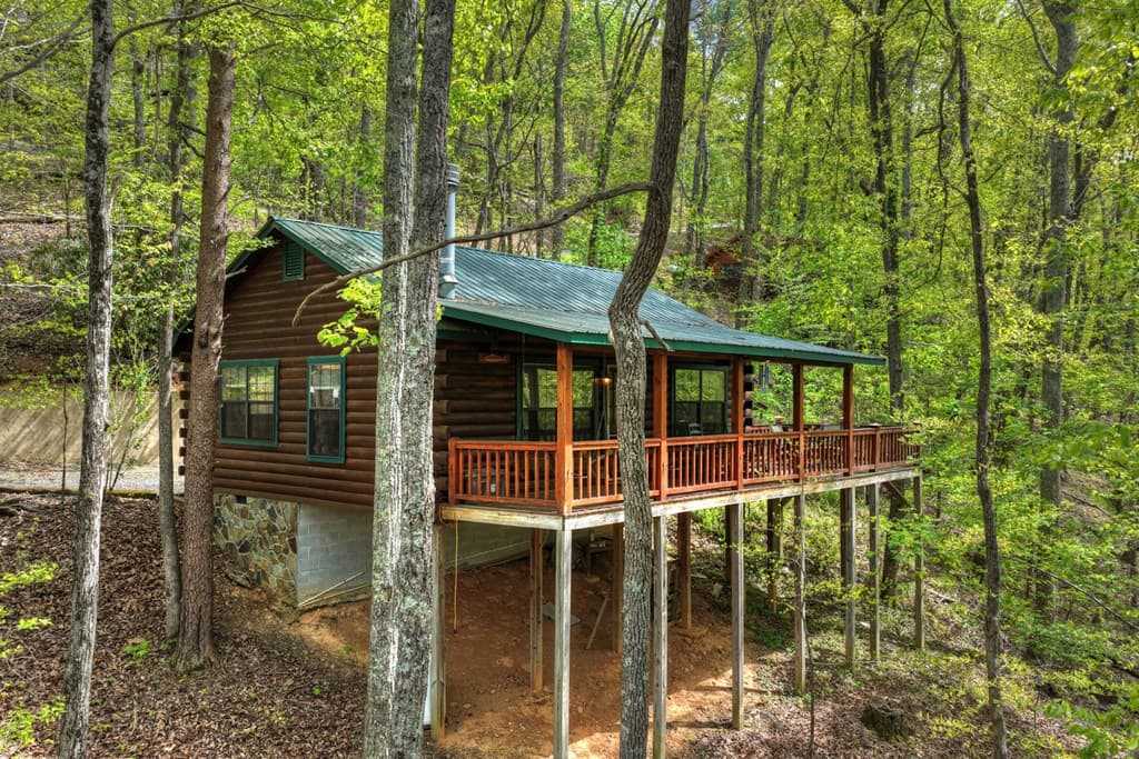 660 Ripshin Mountain Road, Blue Ridge GA 30513 - Photo