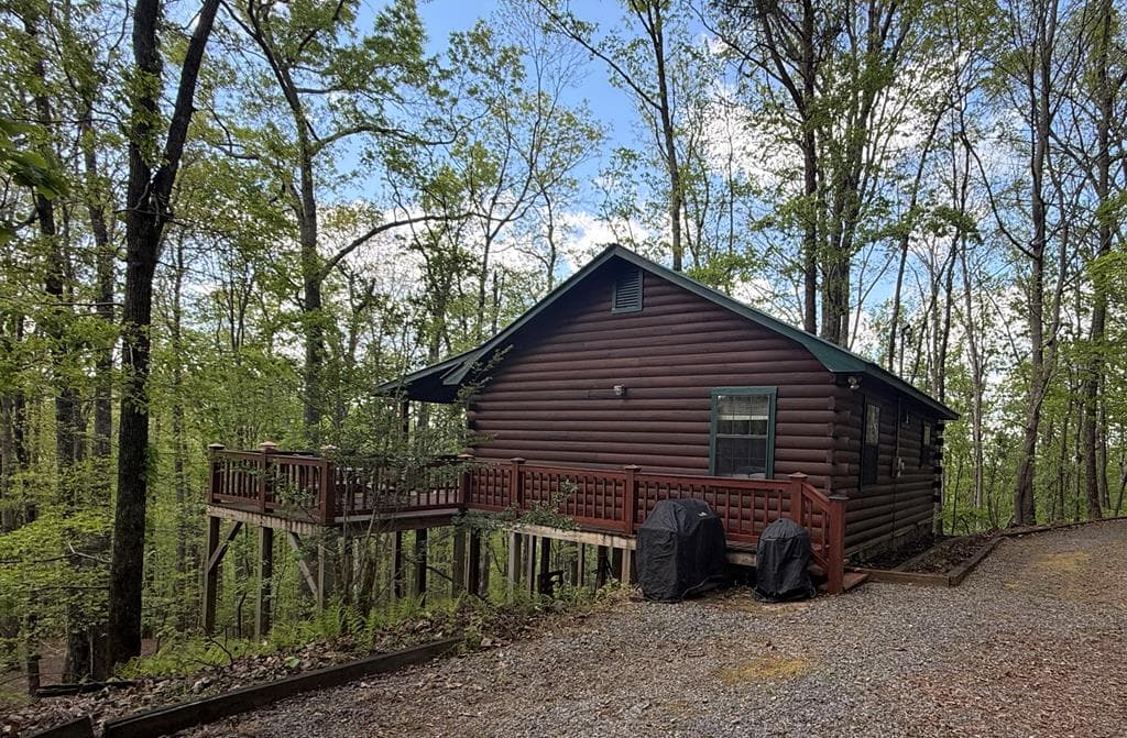 660 Ripshin Mountain Road, Blue Ridge GA 30513 - Photo