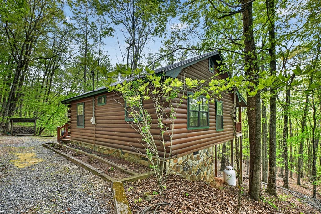 660 Ripshin Mountain Road, Blue Ridge GA 30513 - Photo