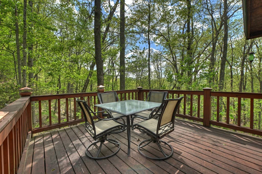 660 Ripshin Mountain Road, Blue Ridge GA 30513 - Photo